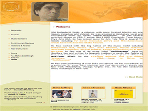 Violinist Web Designing Companies in Mumbai