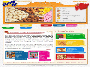 Dry Fruits Website Designing Companies in India